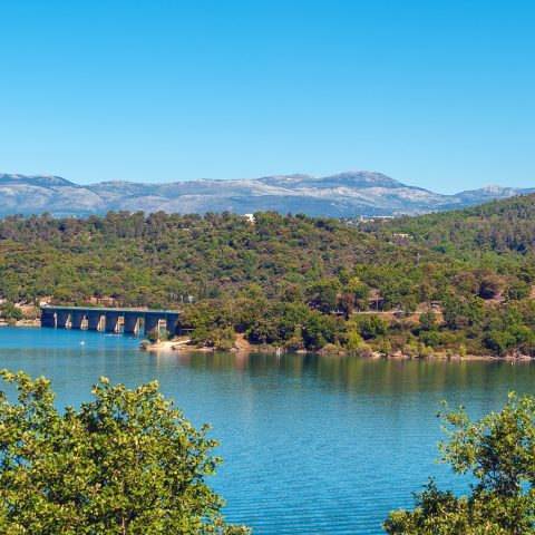 Lac de Saint Cassien